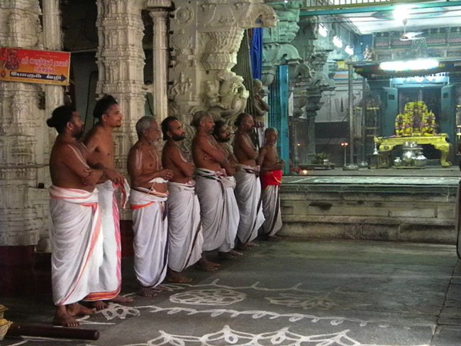 Kanchipuram Devaperumal Irappathu day 6 2014--15