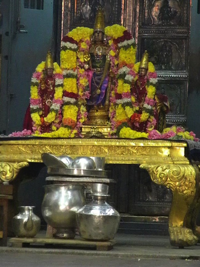 Kanchipuram Devaperumal Irappathu day 6 2014--17