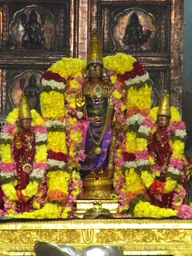 Kanchipuram Devaperumal Irappathu day 6 2014--20
