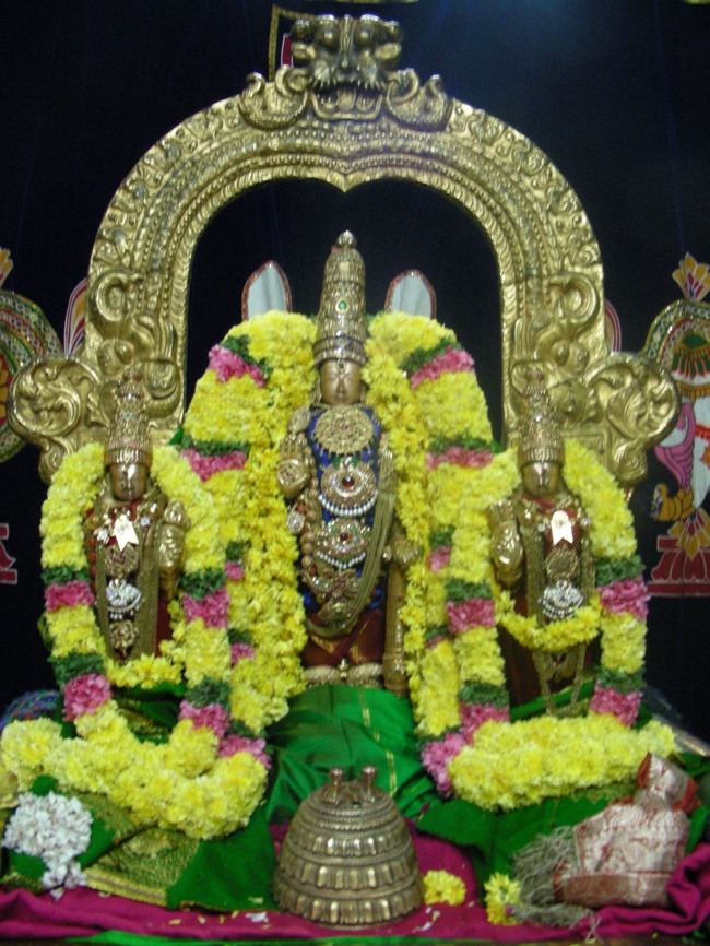 Koorathazhwan Thirunakshatram at Thiruvallur Veeraraghava temple 2014--24