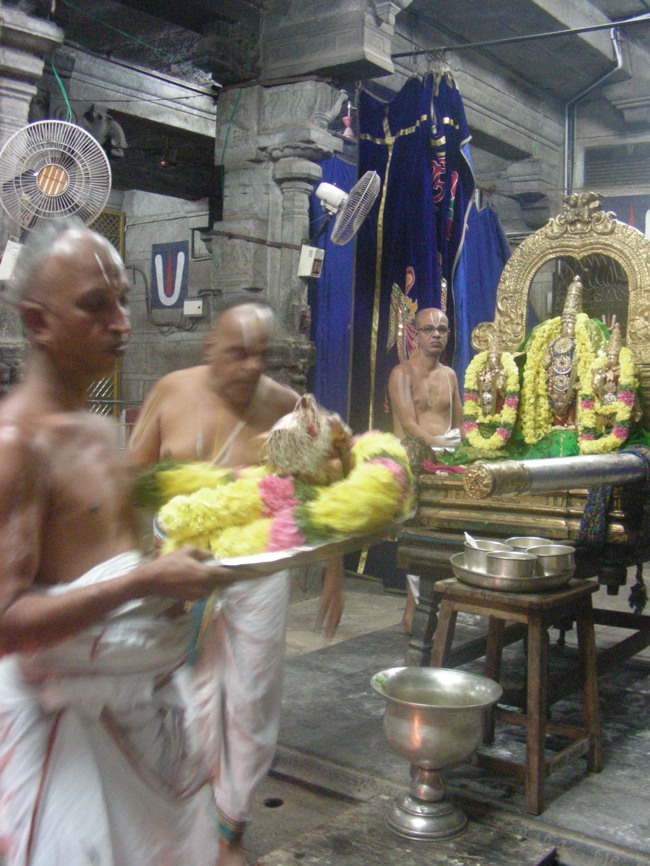 Koorathazhwan Thirunakshatram at Thiruvallur Veeraraghava temple 2014--27