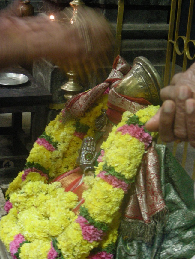 Koorathazhwan Thirunakshatram at Thiruvallur Veeraraghava temple 2014--30