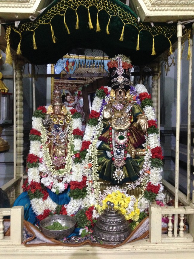 Madipakkam  Sri Oppiliappa Perumal Pagal pathu day 10 2014-1