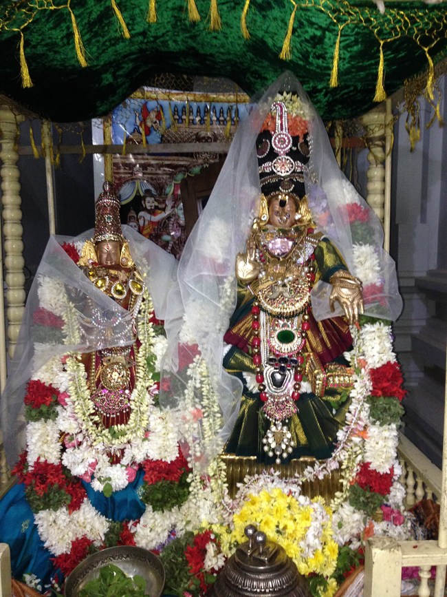 Madipakkam  Sri Oppiliappa Perumal Pagal pathu day 10 2014-2