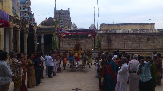 Manargudi Rajagopal Perumal Temple Pagal pathu day 3 Utsavam 2013--04
