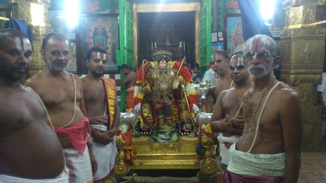 Mannargudi Rajapopalal temple Pagal pathu day 9 2014-02