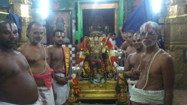 Mannargudi Rajapopalal temple Pagal pathu day 9 2014-09