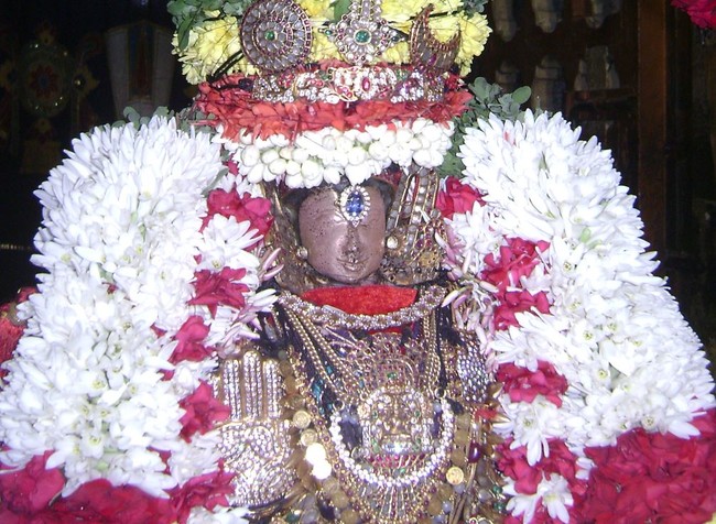 Mylapore Adhikesava Perumal Irappathu Satrumurai  2014 -10