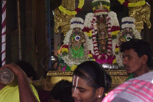 Mylapore Adhikesava Perumal Irappathu Satrumurai  2014 -13