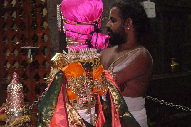 Mylapore SVDD Srinivasa Perumal Irappathu Satrumurai  2014 -07