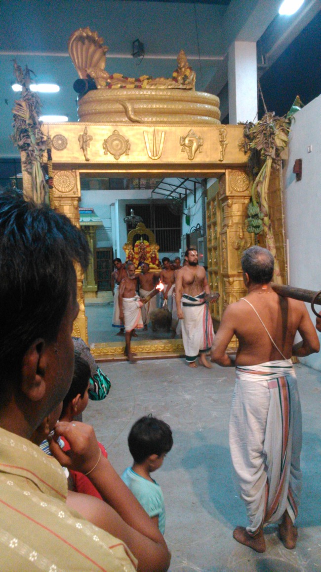 Mylapore SVDD Srinivasa Perumal Irappathu day 8 2014--06