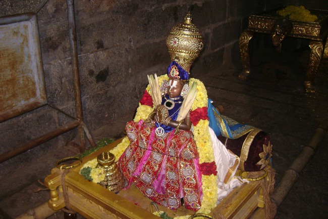 Mylapore Sri Adhikesava Perumal Irappathu day 8 2014--01