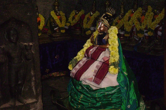 Mylapore Sri Adhikesava Perumal Irappathu day 8 2014--02