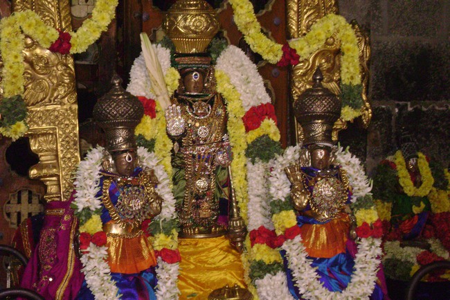 Mylapore Sri Adhikesava Perumal Irappathu day 8 2014--05