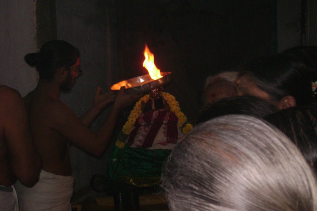 Mylapore Sri Adhikesava Perumal Irappathu day 8 2014--10