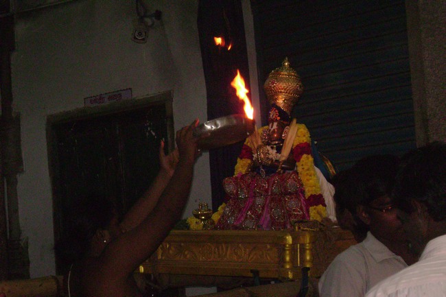 Mylapore Sri Adhikesava Perumal Irappathu day 8 2014--11