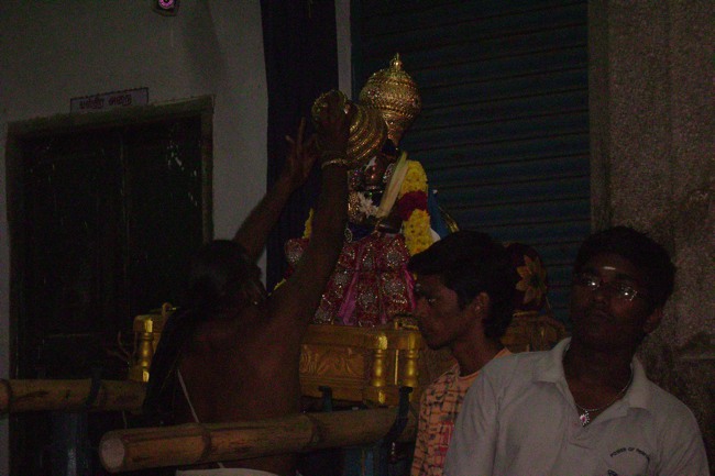 Mylapore Sri Adhikesava Perumal Irappathu day 8 2014--12