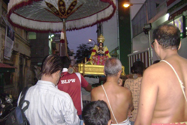 Mylapore Sri Adhikesava Perumal Irappathu day 8 2014--18