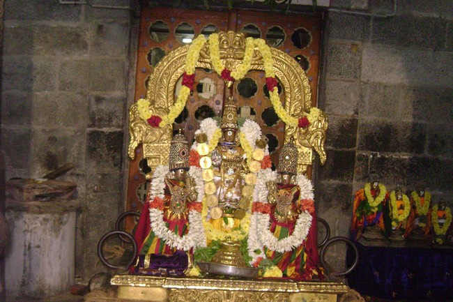 Mylapore Sri Adhikesava Perumal Temple Irappathu day 5 2014 -01