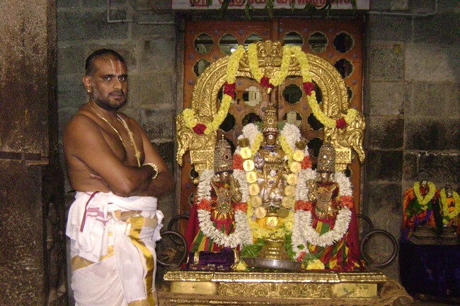 Mylapore Sri Adhikesava Perumal Temple Irappathu day 5 2014 -04