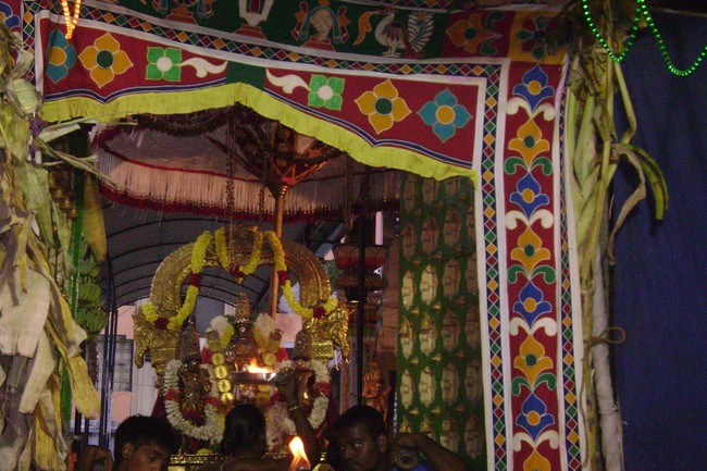 Mylapore Sri Adhikesava Perumal Temple Irappathu day 5 2014 -10