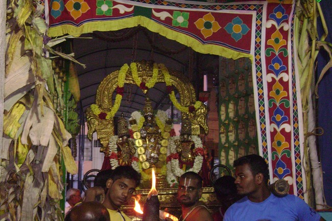 Mylapore Sri Adhikesava Perumal Temple Irappathu day 5 2014 -11