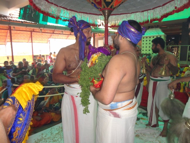 Nammazhwar Moksham at Sripuram andavan ashramam  2014 -14