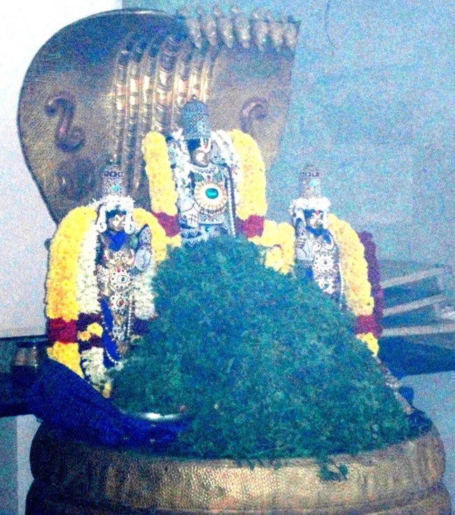 Nammazhwar Moksham at Sripuram andavan ashramam  2014 -19