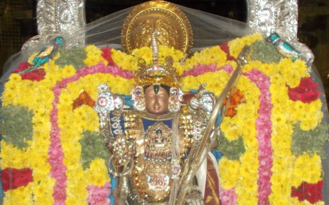 Nammazhwar Moksham at Therazhundur Amaruviyappan  Temple 2014 -05