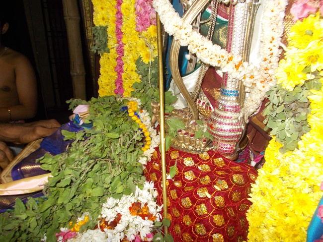 Nammazhwar Moksham at Therazhundur Amaruviyappan  Temple 2014 -15