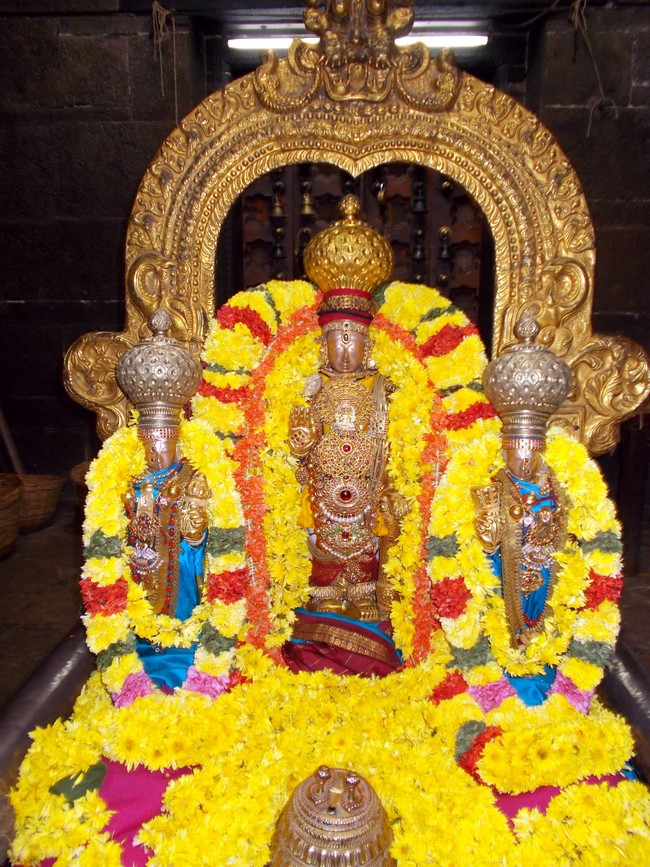 Nammazhwar Moksham at Thiruvallur Veeraraghava Perumal temple  2014 -01