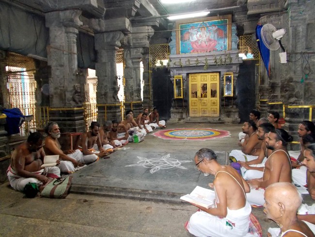 Nammazhwar Moksham at Thiruvallur Veeraraghava Perumal temple  2014 -04