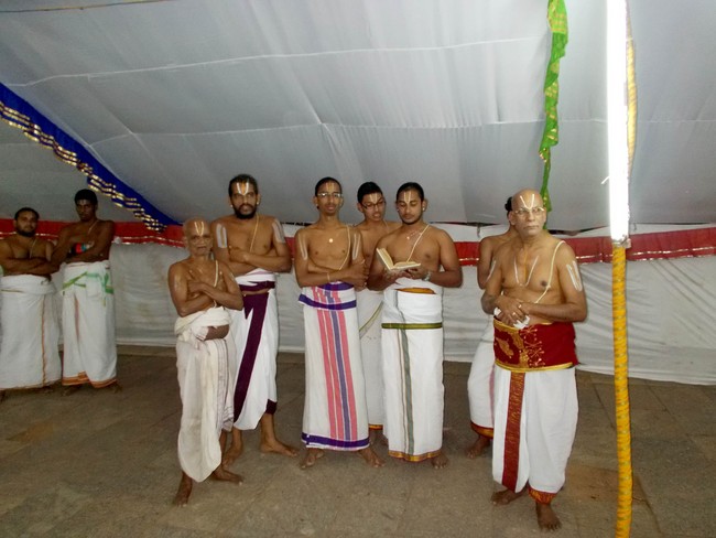 Nammazhwar Moksham at Thiruvallur Veeraraghava Perumal temple  2014 -07