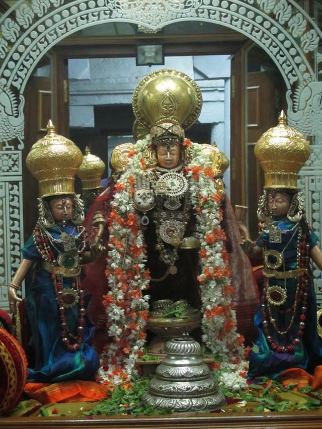 Nammazhwar Moksham at Uthiramerur Sundara Varadar temple  2014 -15_640x853