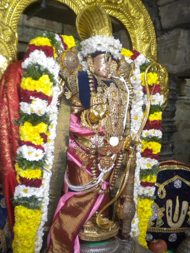 Nammazhwar thiruvadi thozhal Sarangapani temple 2014-14
