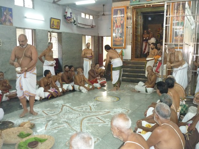Namperumal Irappathu day 6 Ahobila mutt kaingaryam 2014 -11