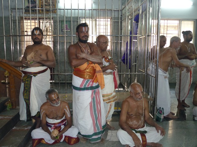 Namperumal Irappathu day 6 Ahobila mutt kaingaryam 2014 -18
