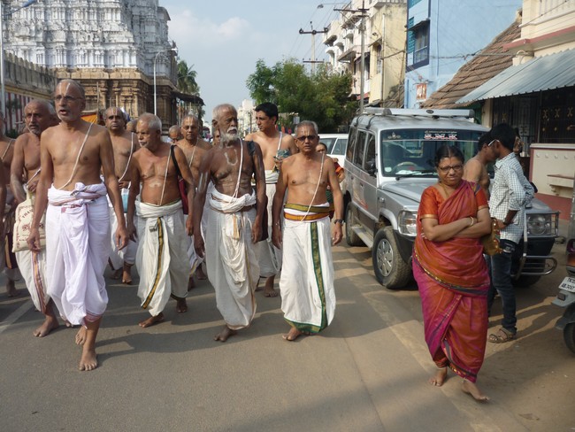 Namperumal Irappathu day 6 Ahobila mutt kaingaryam 2014 -26