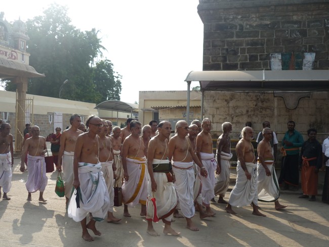 Namperumal Irappathu day 6 Ahobila mutt kaingaryam 2014 -31
