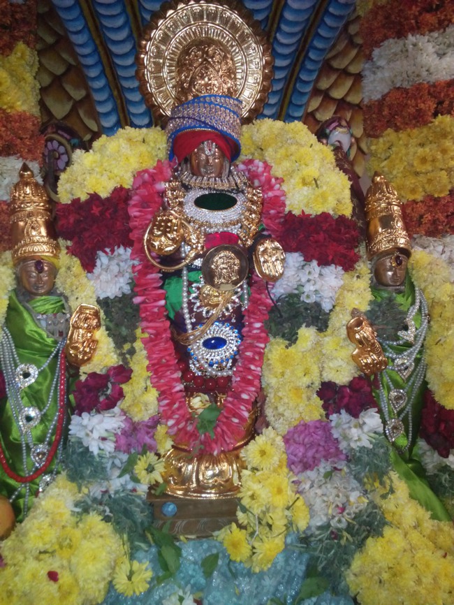 Perungalathur Srinvivasa perumal temple Vaikunda Ekadasi Paramapada vaasal  2014--06