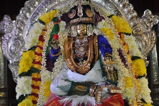 Pomona Ranganatha Temple Vaikunda Ekadasi 2014-03
