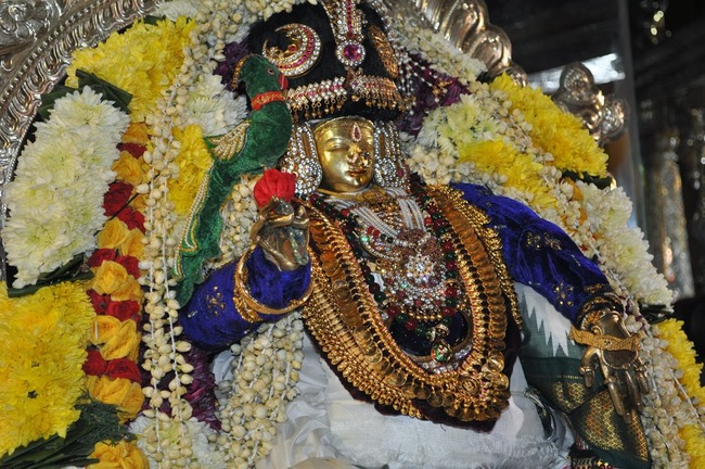 Pomona Ranganatha Temple Vaikunda Ekadasi 2014-04