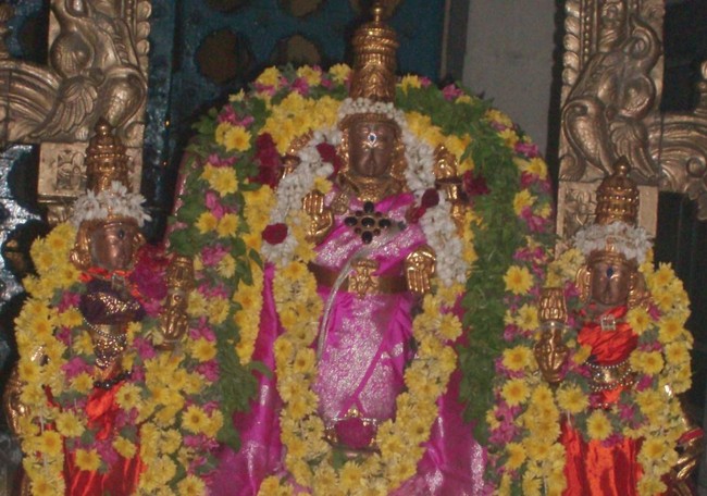 Ponamalee Varadharaja Perumal Irappathu utsavam day 8 2014 -1