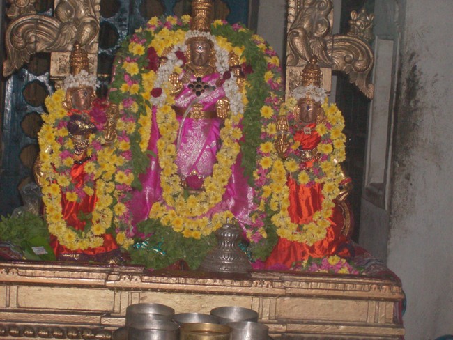 Ponamalee Varadharaja Perumal Irappathu utsavam day 8 2014 -3
