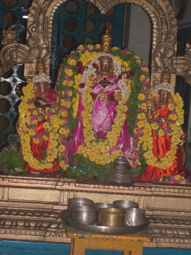 Ponamalee Varadharaja Perumal Irappathu utsavam day 8 2014 -4