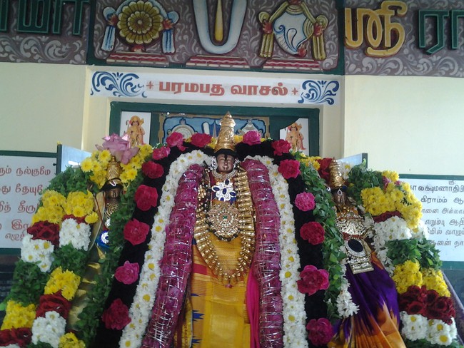 Pudhuagraharam Sri Pattabiramar temple Vaikunda Ekadasi 2014-2