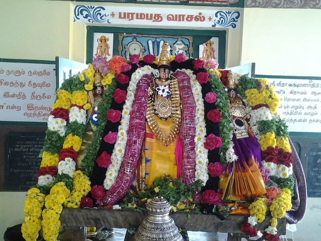Pudhuagraharam Sri Pattabiramar temple Vaikunda Ekadasi 2014-5