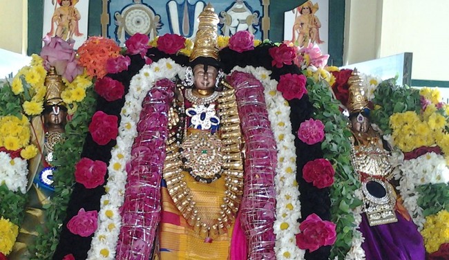 Pudhuagraharam Sri Pattabiramar temple Vaikunda Ekadasi 2014-7