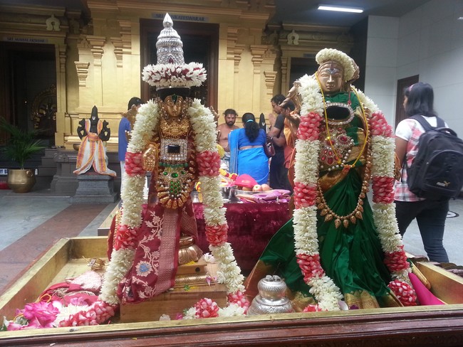 SVT Helensburg Temple Australia Sri Andal Kalyanam 2014  -15