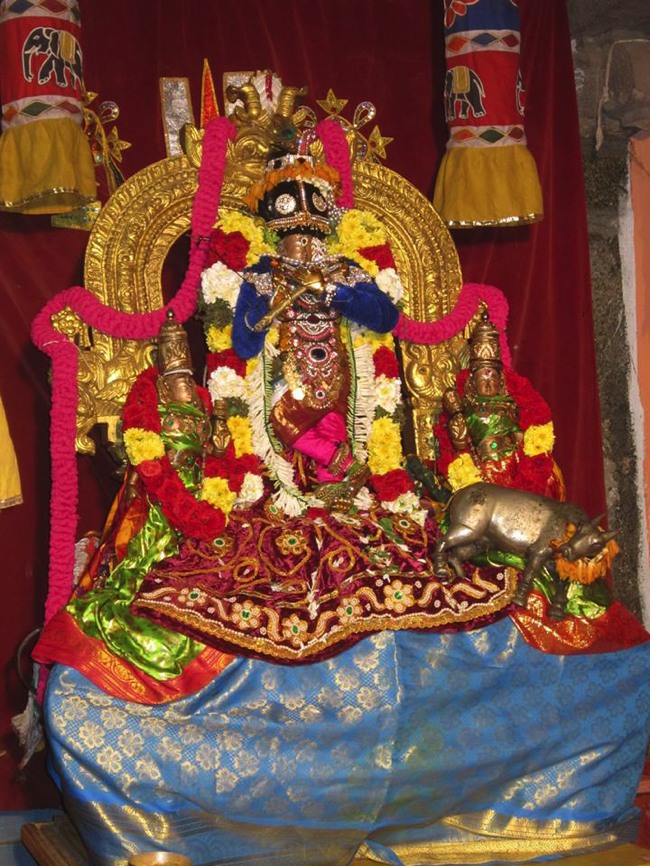 Saidapet Prasanna Venkatesa Pagal pathu utsavam day 3 2013--00